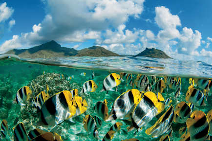 French Polynesia