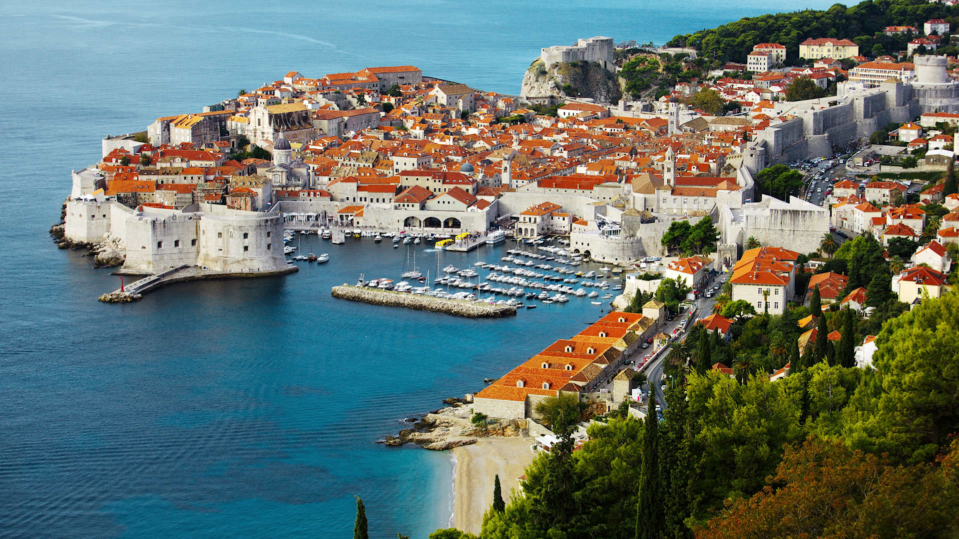 Star Collector Perks