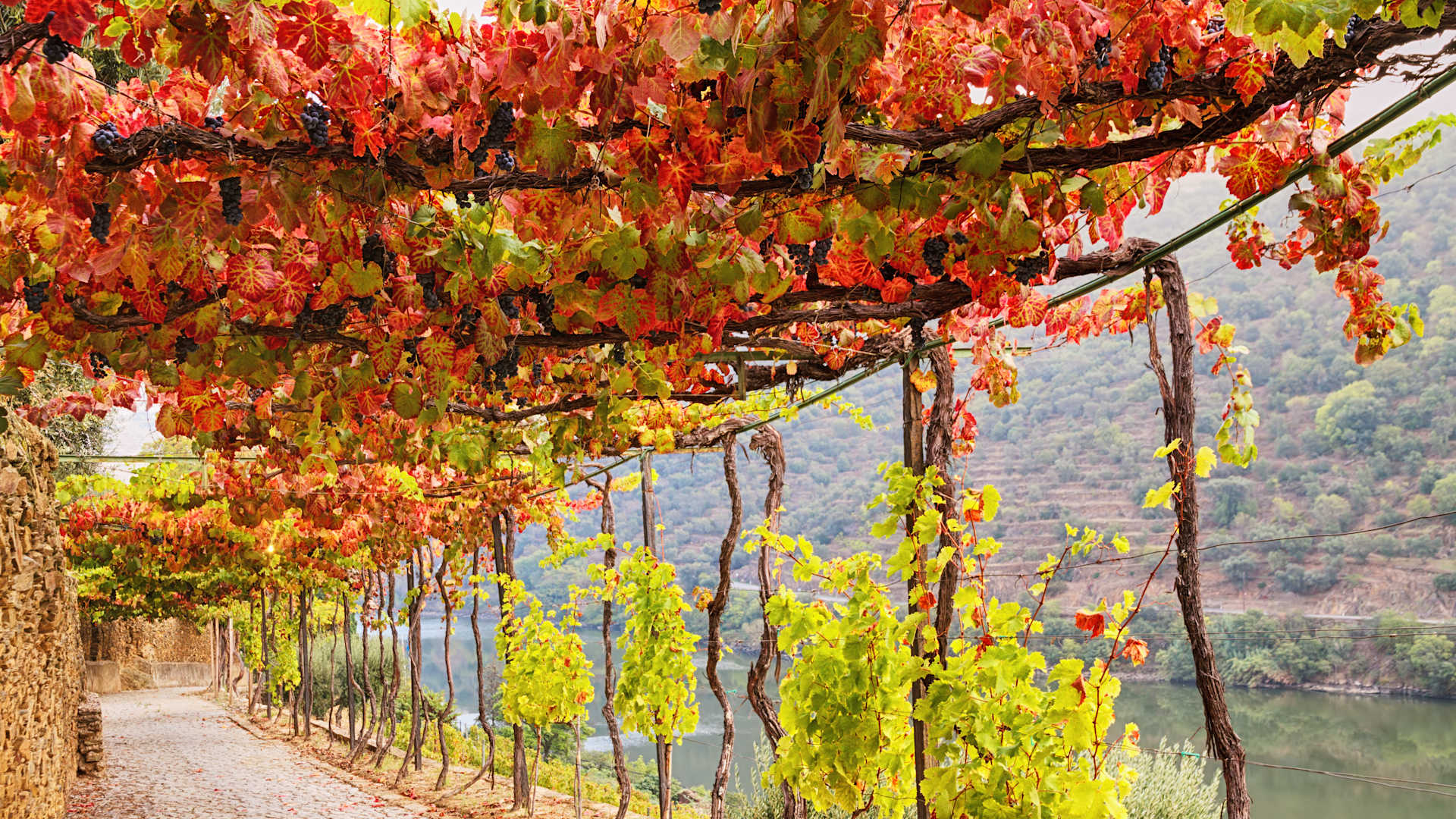 Portuguese Passages & Spanish Shorelines Cruise Tour