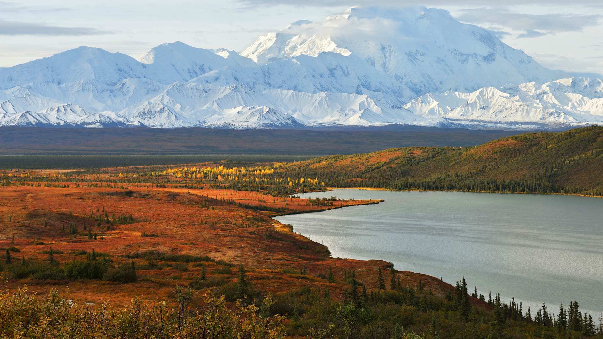 From Denali National Park to Kyoto; the Vatican to the Great Barrier Reef — you won’t miss any must-see sights, plus local gems that we've found to showcase the destination beyond the sea.