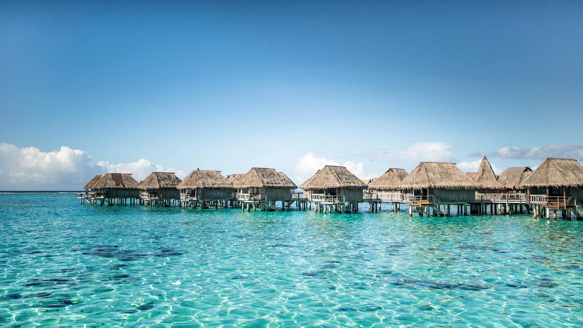 Receive these exclusive benefits when you book through Windstar