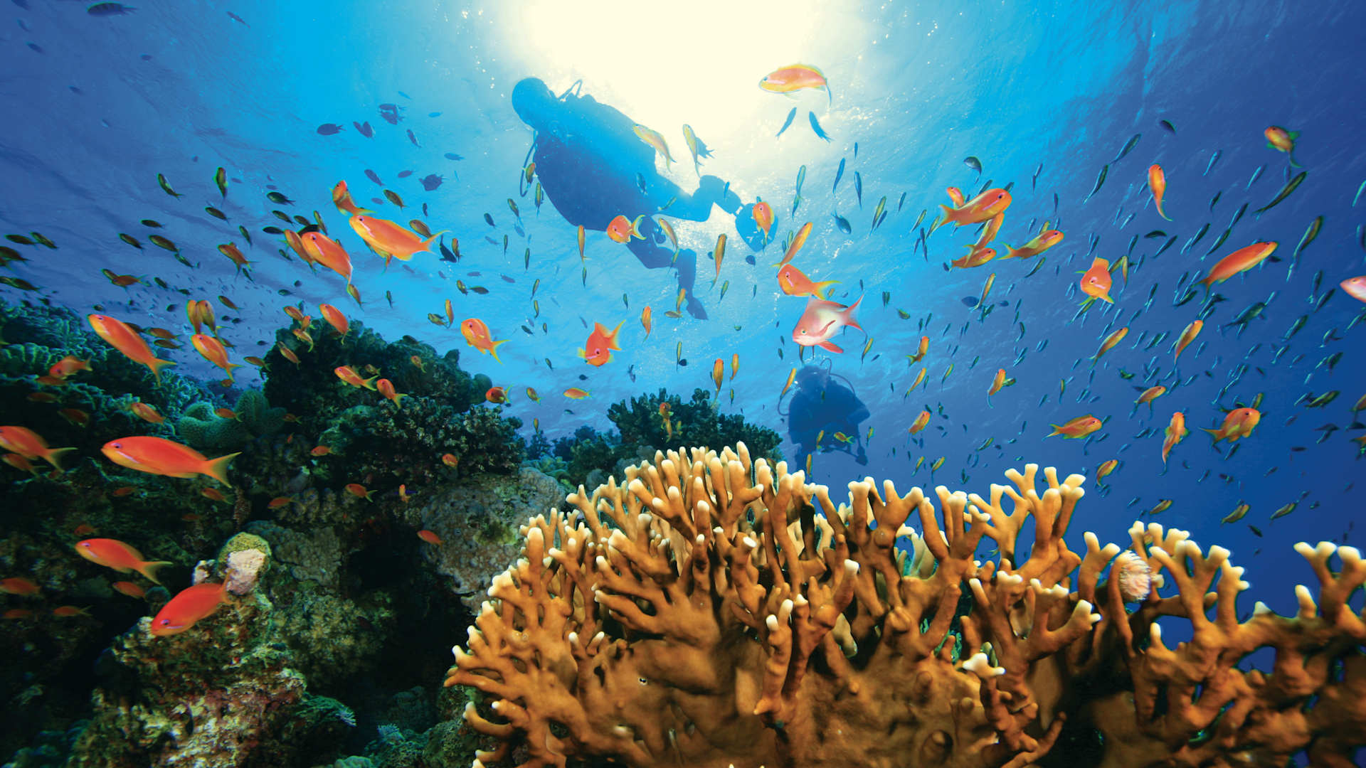 Explore on Windstar Cruise Tours, combining the best of land and sea to check off your bucket list experiences. Experience more of the culture and natural beauty inland to complement your ports of call.