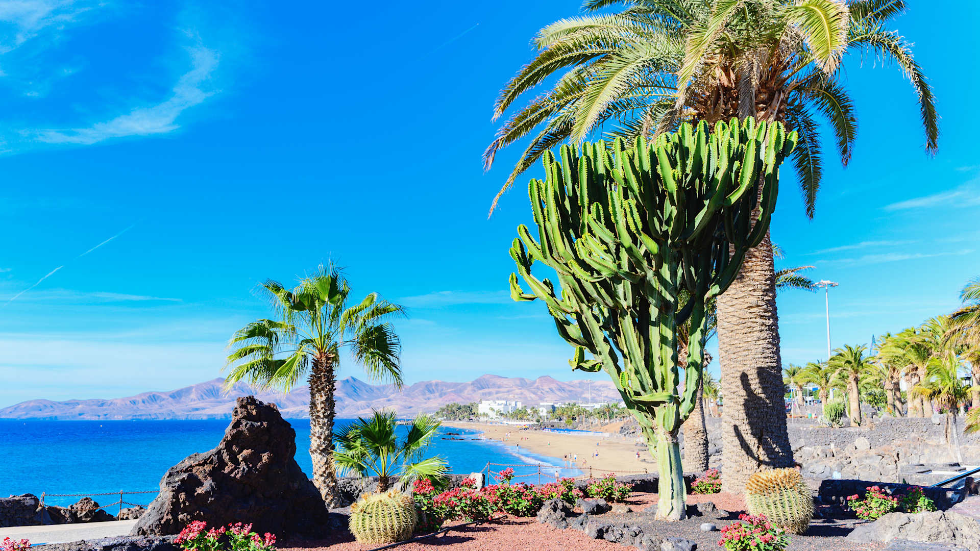 The Canary Islands are home to 5 UNESCO Biosphere Reserves as well as 2 UNESCO Global Geoparks, including Lanzarote’s Timanfaya National Park with its amazing volcanic landscapes.