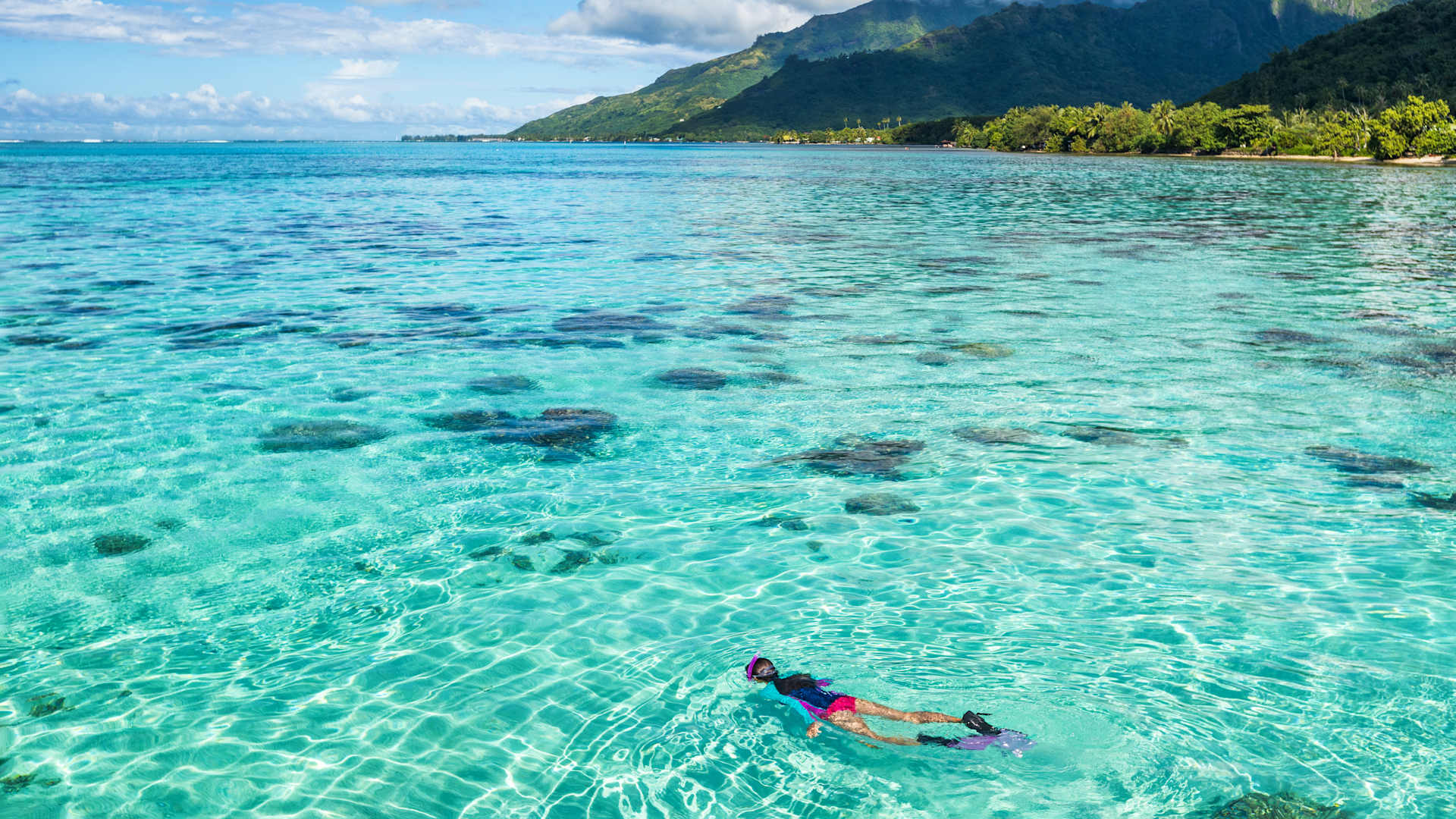 Explore the rich ecosystem of French Polynesia at legendary destinations like the Tuamotu Islands, a diving and snorkeling paradise famous for its calm lagoons and biodiversity.