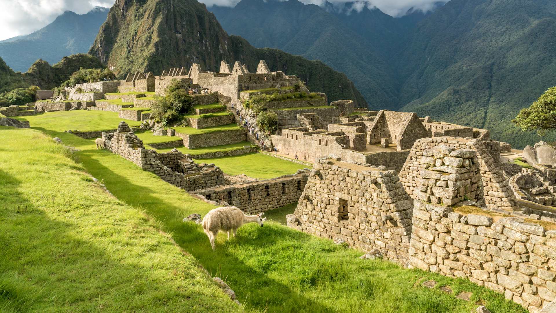 Experience a one in a lifetime half-day guided tour of Machu Picchu, followed by a scenic Vistadome train journey.