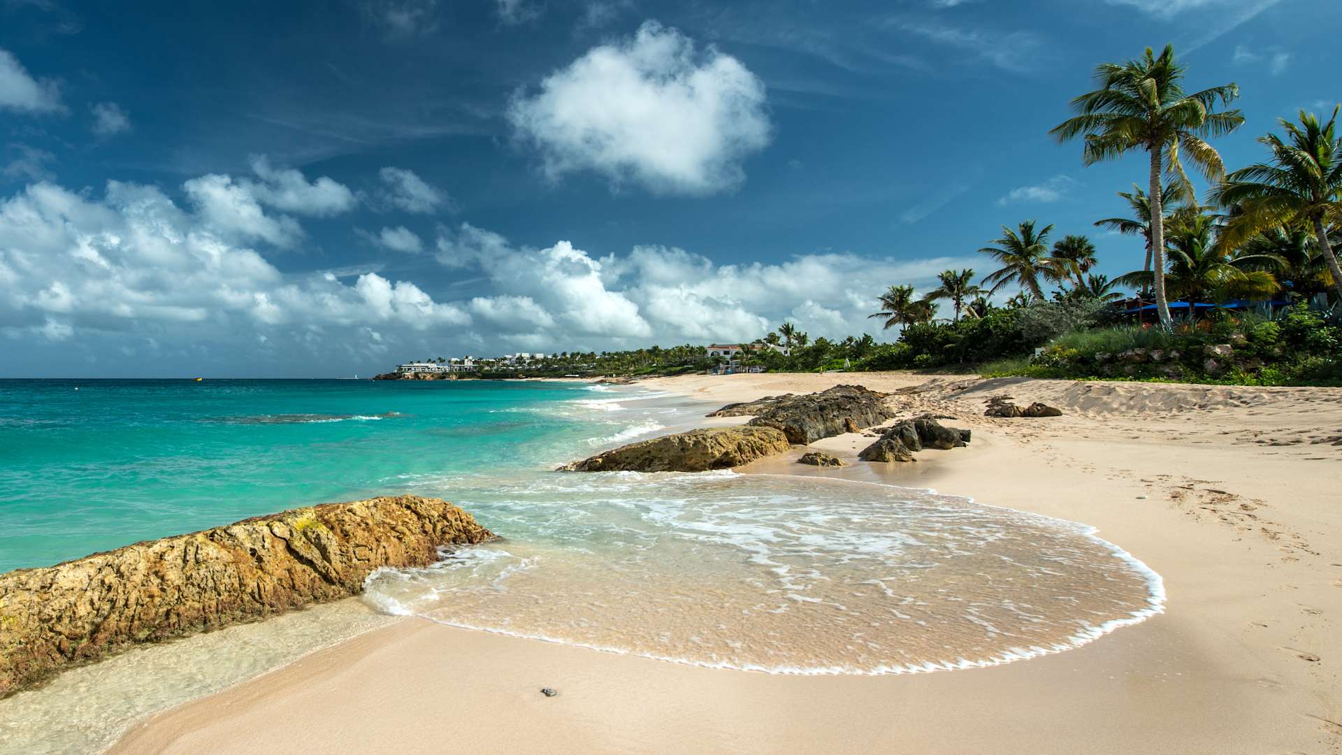 Anguilla has some of the most beautiful sunsets and delicious rum punch to be found in the Caribbean. It is also home to Cuban tree frogs, red-footed tortoise, green iguanas, and five species of bats.