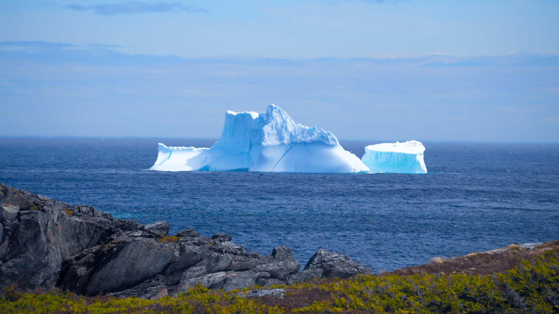 People travel from all over to experience one of the most spectacular wonders of nature, Iceberg Alley.
