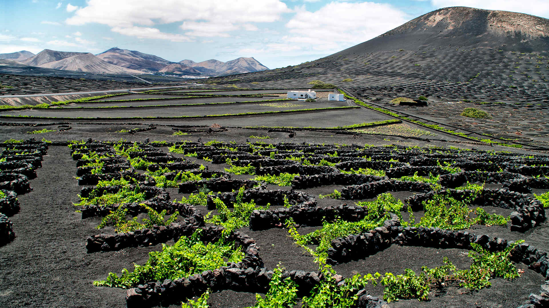 On Lanzarote, you’ll find terraced vineyards with tiny half-moon walls around each precious vine. These methods are too labor-intensive to produce much wine, but what they create is complex and delicious.
