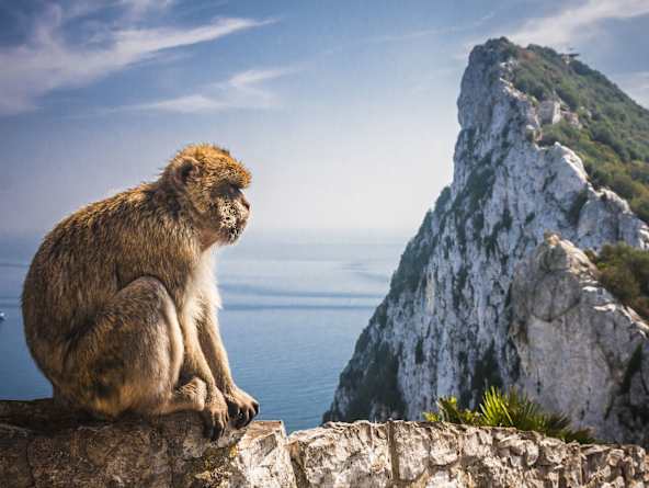 Gibraltar