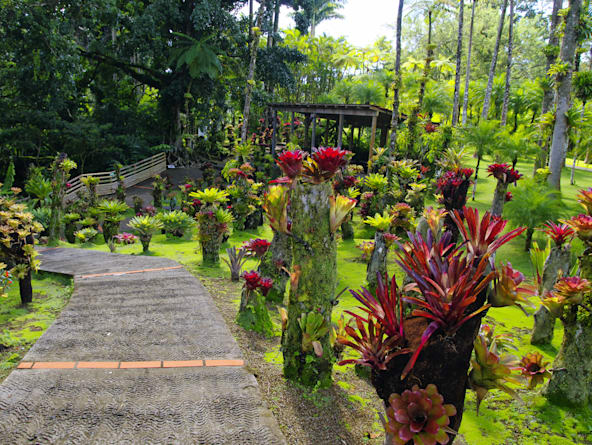 Jardin de Balata Botanical Gardens