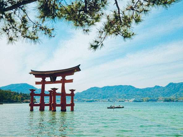 Star Collector: Mysteries & Masterpieces of Japan & South Korea