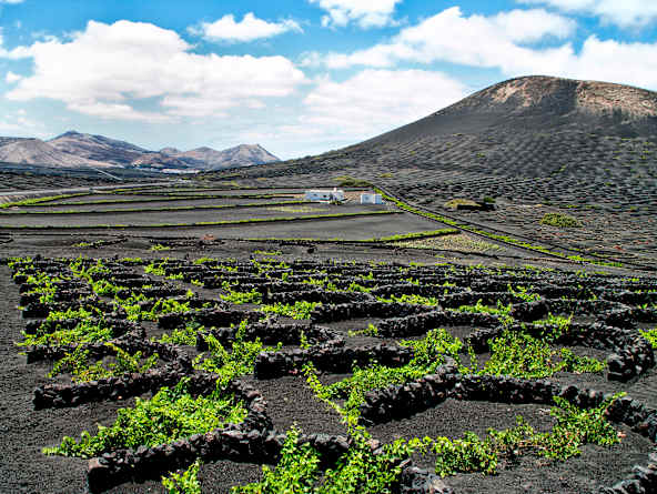 Lanzarote