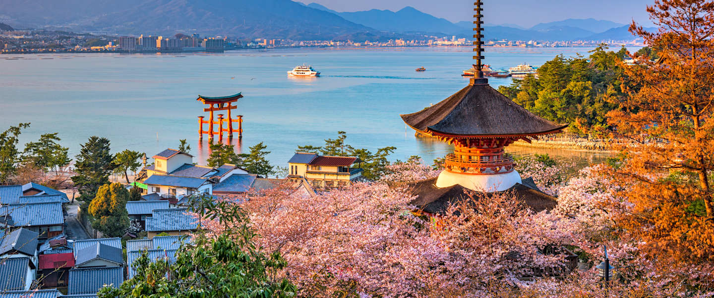 Star Collector: Japan and North Pacific Crossing