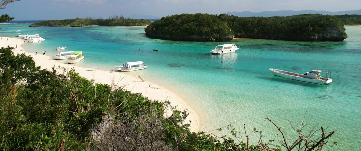 Star Collector: Island Jewels of Japan