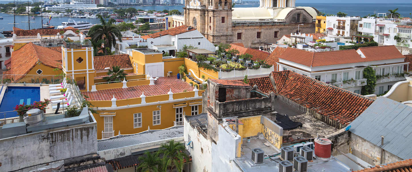 New World Caribbean Trio