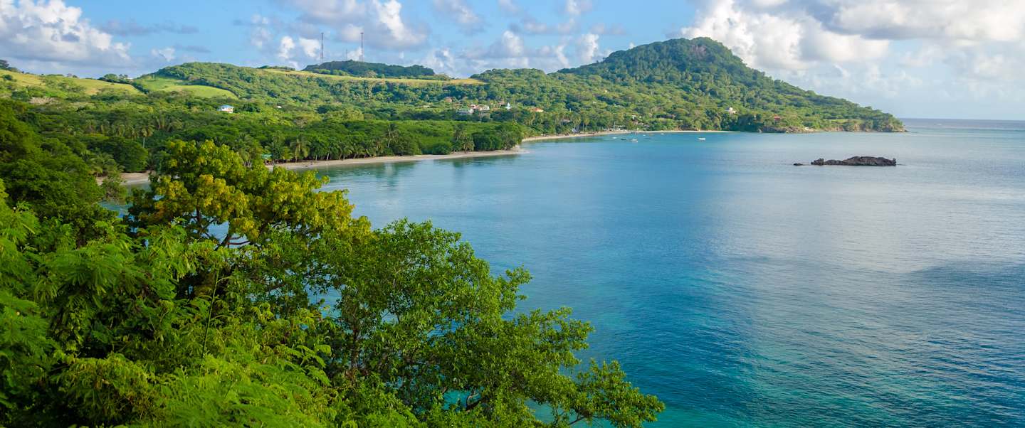 Star Collector: Natural History Meets Ancient Myster: Latin America & Beyond