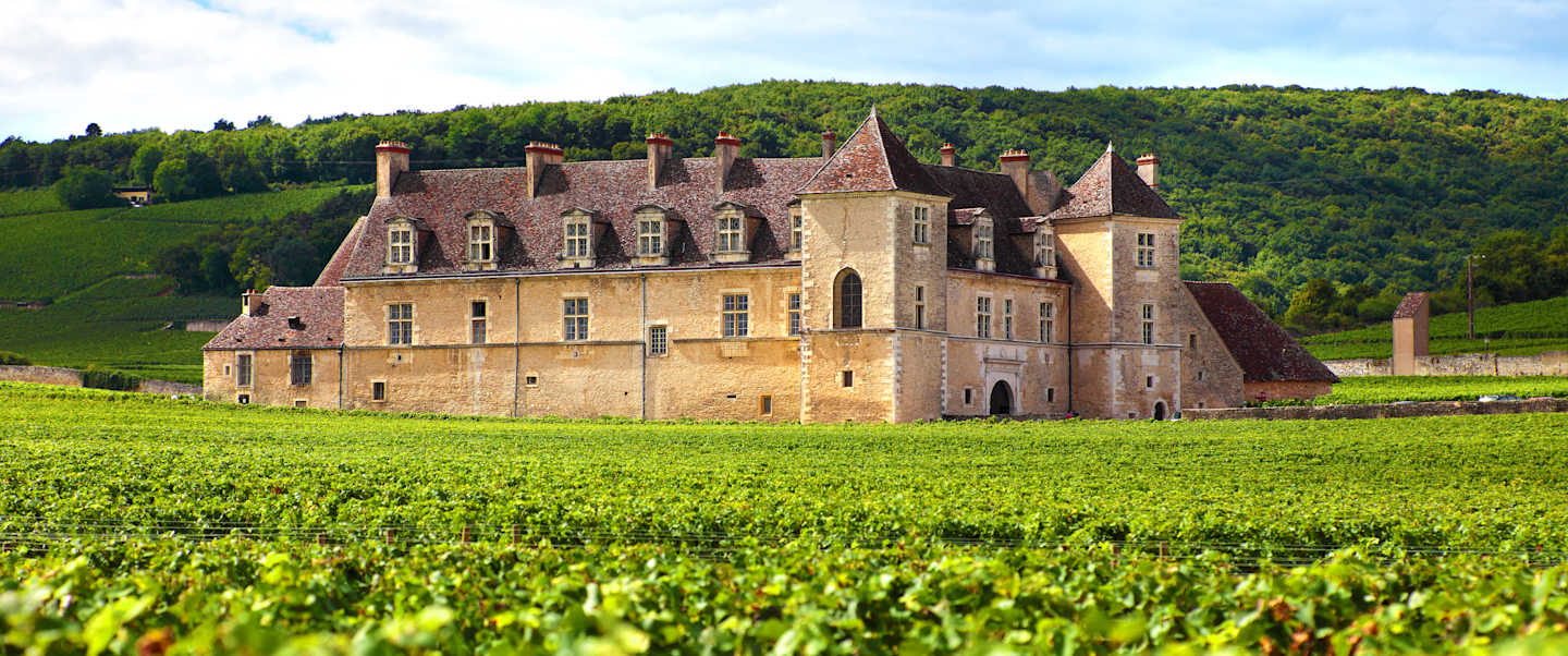 Star Collector: The Flavors of France