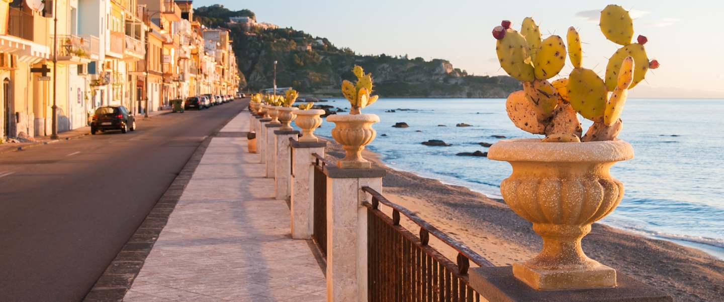 Star Collector: Culture & Charms of Italy & Croatia