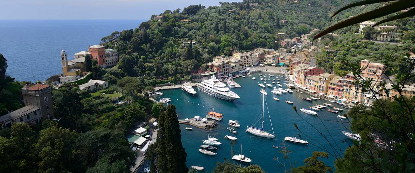 Star Collector: Magnificent Mediterranean