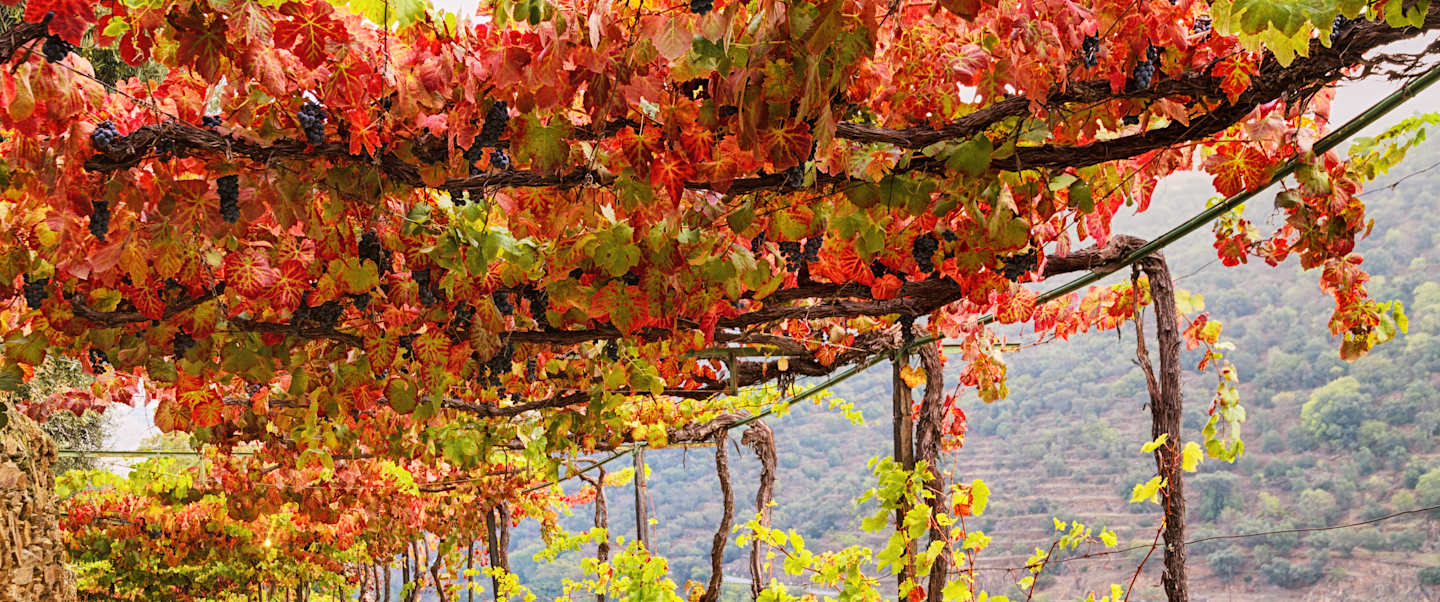 Portuguese Passages & Spanish Shorelines Cruise Tour