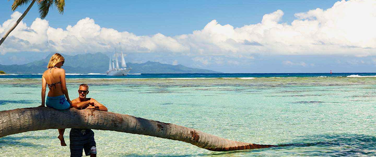 Star Collector: Twice the Tahiti