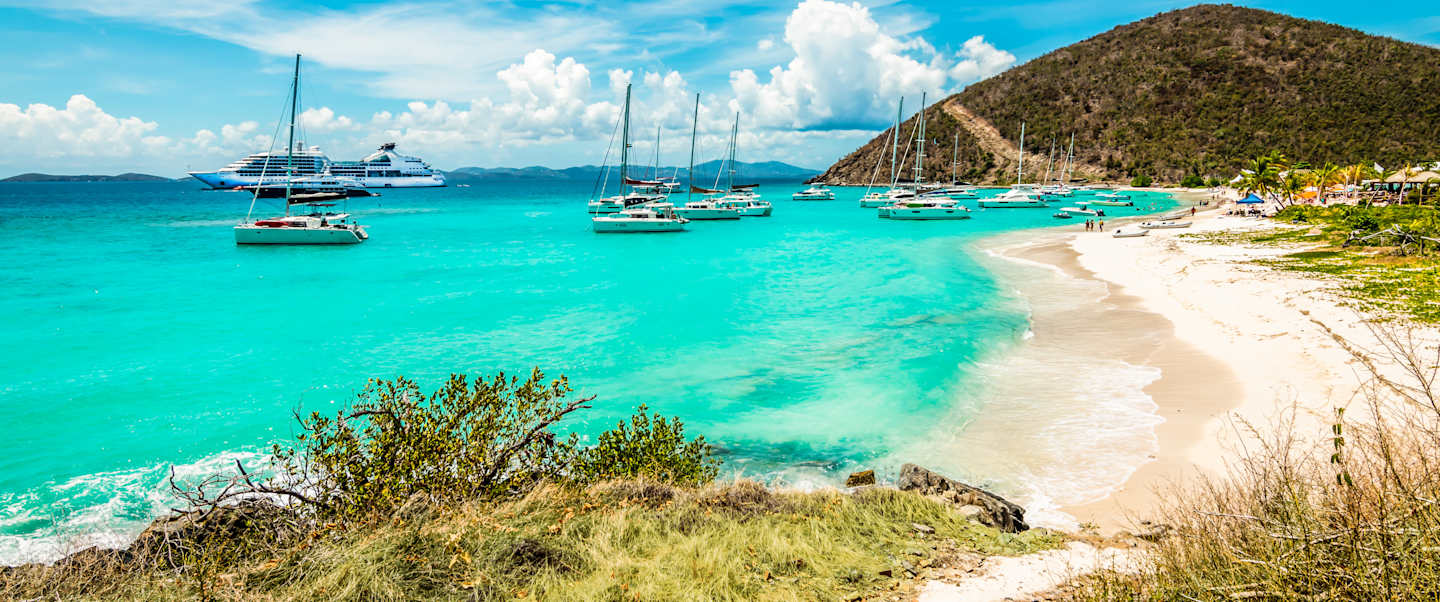 Star Collector: A Lesser Antilles Odyssey