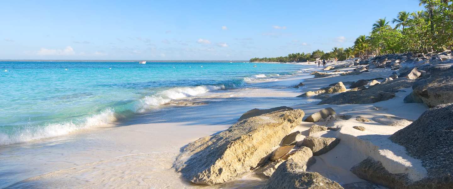 Star Collector: Caribbean Cultures - Latin America & the Greater Antilles