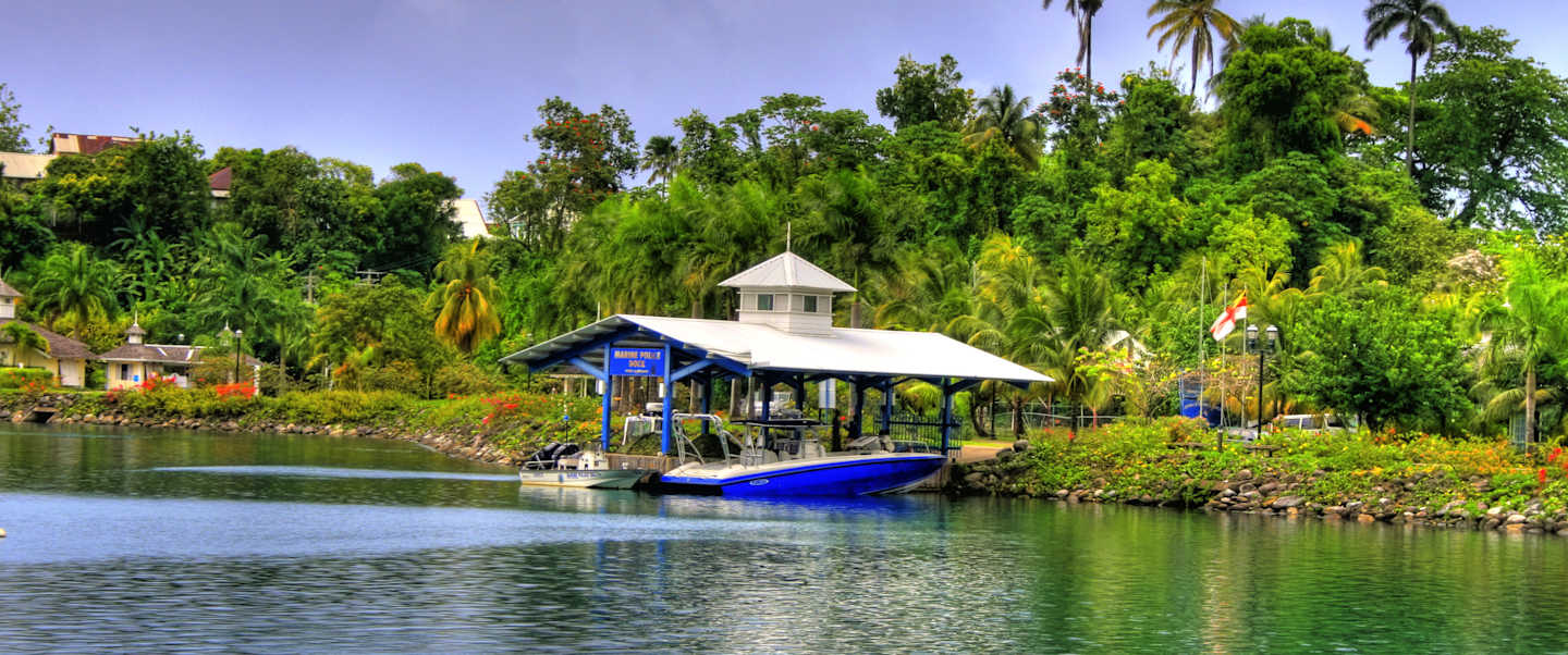 Star Collector: Deep Dive into the Blue - Underwater Worlds of the Caribbean