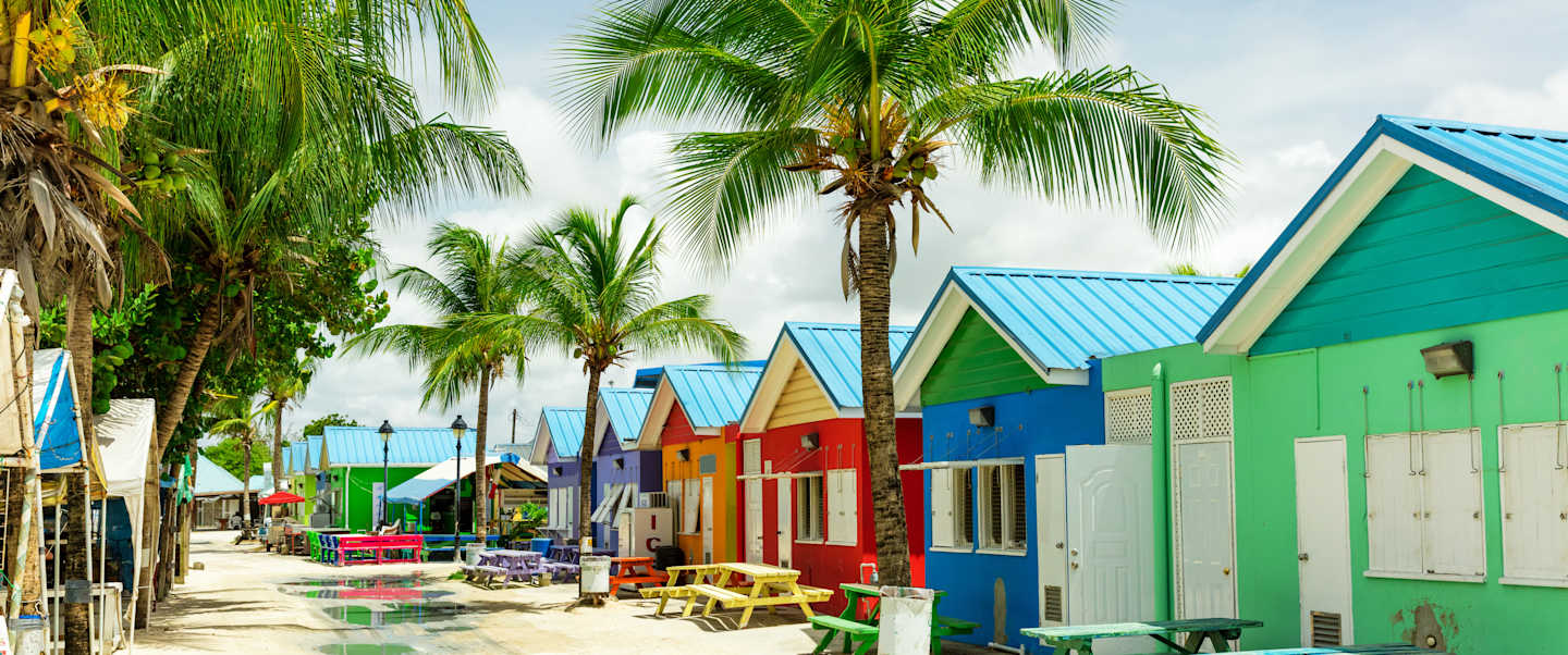 Star Collector: Captivating Caribbean