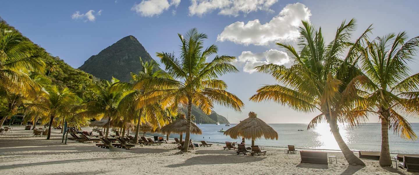 Star Collector: Caribbean Beats & Transatlantic Treats