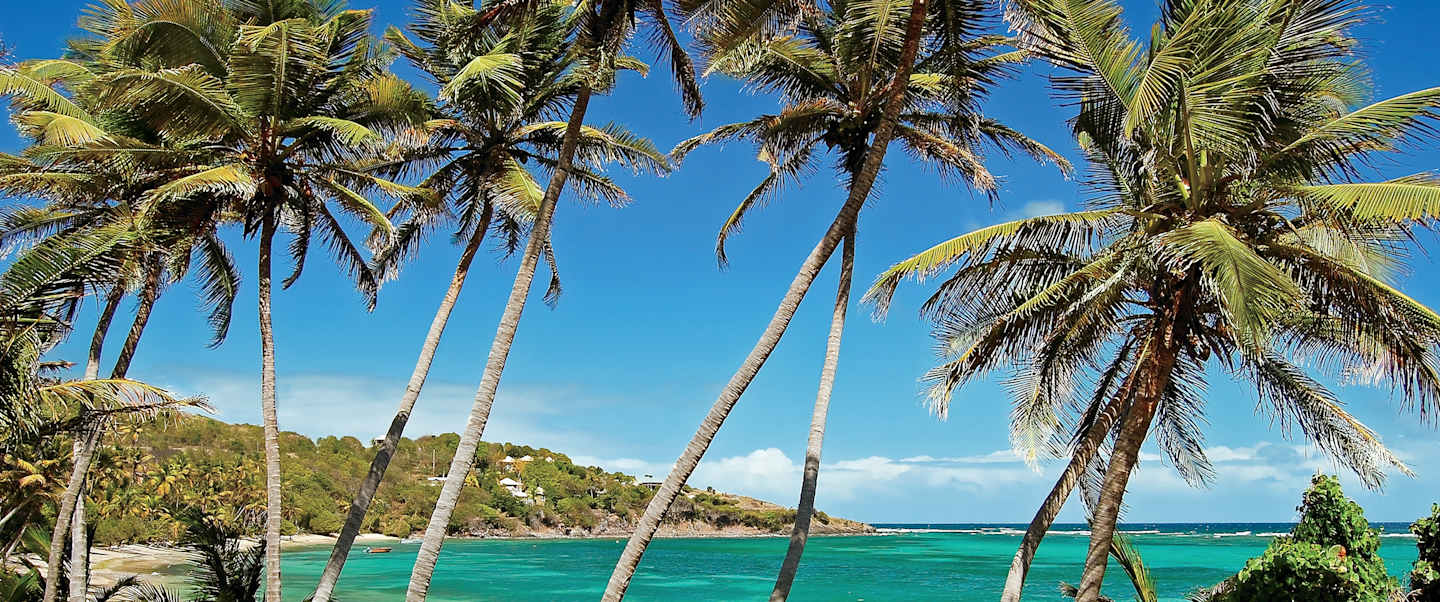 Jewels of the Windward Islands