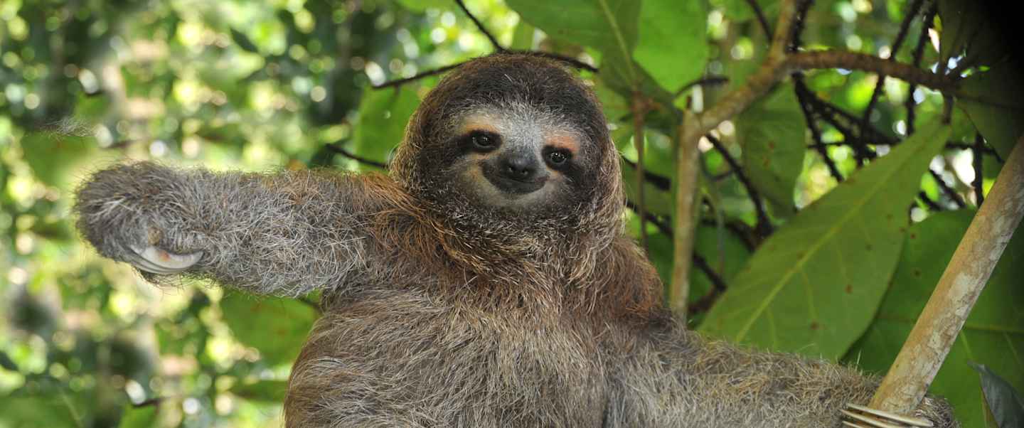 Star Collector: Reefs & Rainforests: The Caribbean, Colombia, Panama & Costa Rica via the Panama Canal