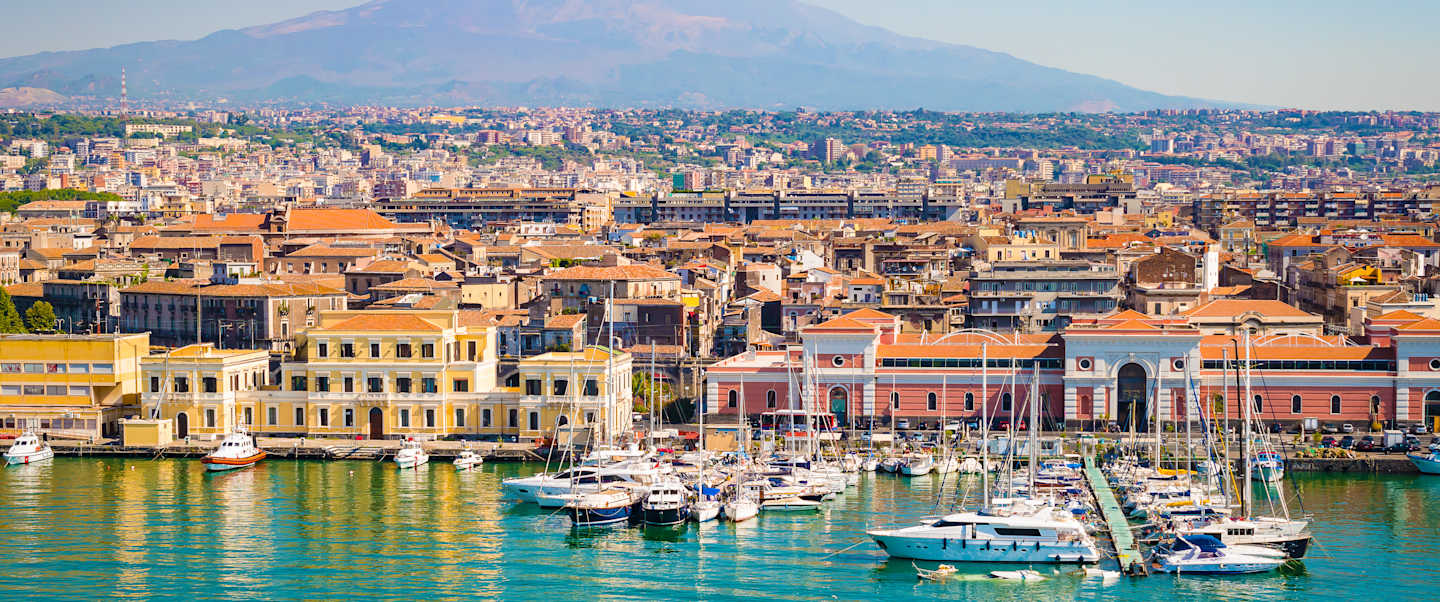 Star Collector: A Winter Muse in the Mediterranean