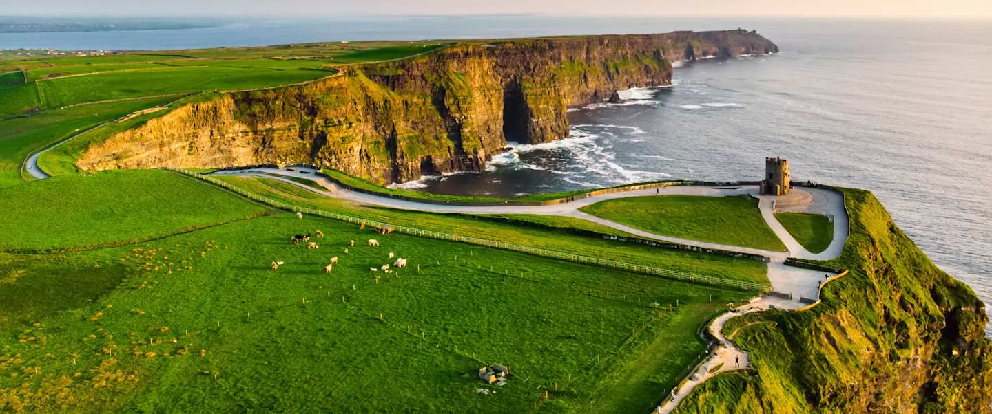 Star Collector: Irish Stout to Bordeaux Wine: A Tour of Ireland and France