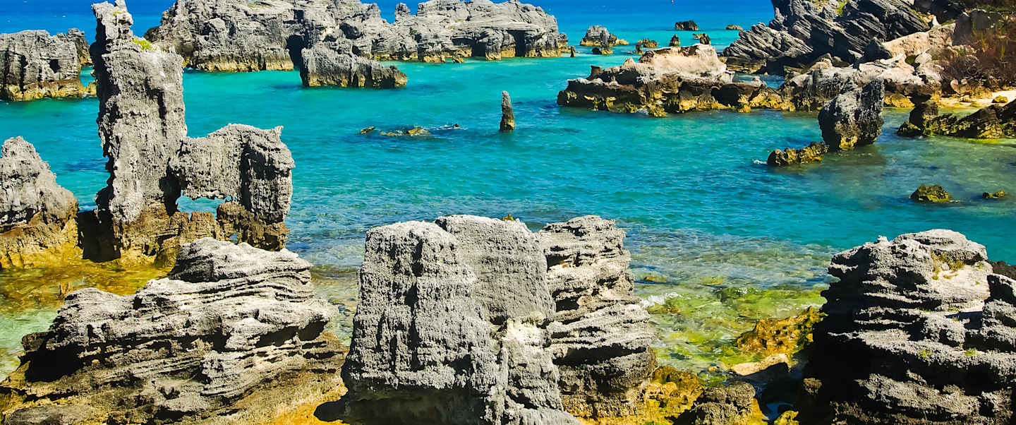 Star Collector: Fall Leaves & Caribbean Breezes