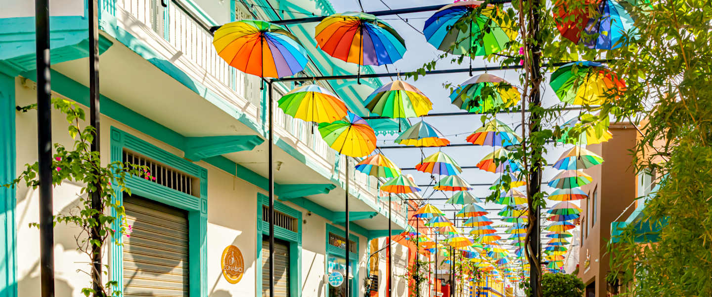 Star Seeking Christening Sailing