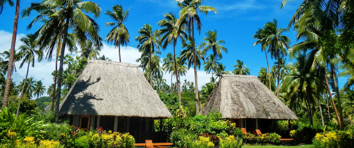 Flowers of the South Pacific: Fiji, the Cook Islands & French Polynesia