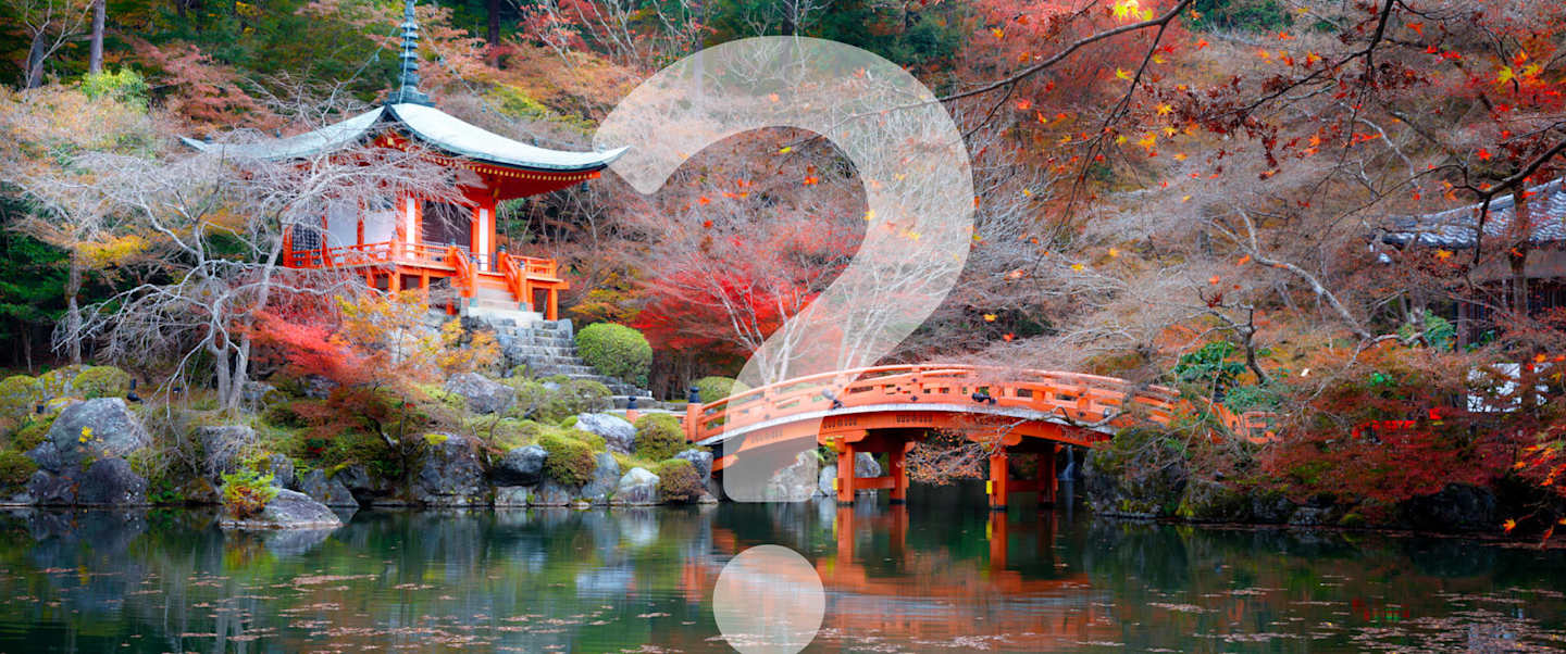 2027 Japan Mystery Cruise