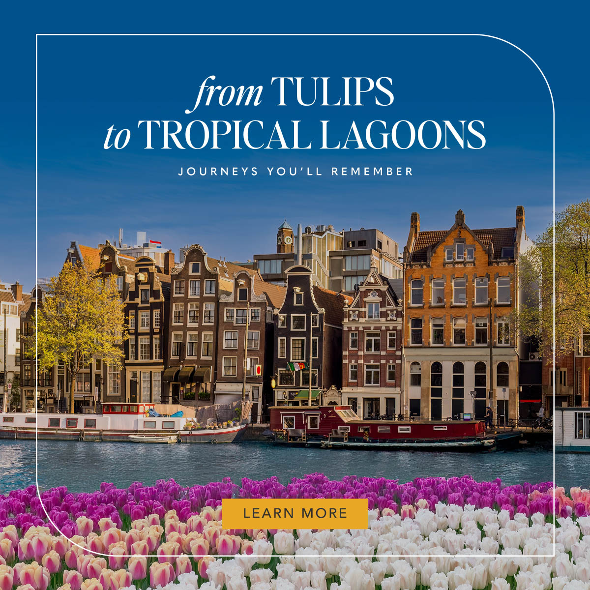 From Tulips To Tropical Lagoons